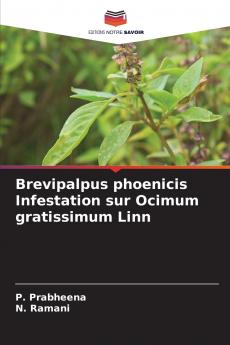 Brevipalpus phoenicis Infestation sur Ocimum gratissimum Linn