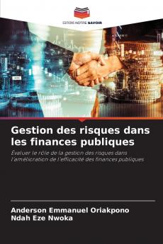 Gestion des risques dans les finances publiques
