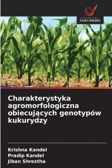 Charakterystyka agromorfologiczna obiecujących genotypów kukurydzy