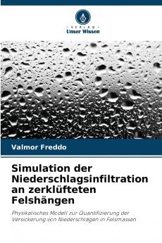 Simulation der Niederschlagsinfiltration an zerklüfteten Felshängen