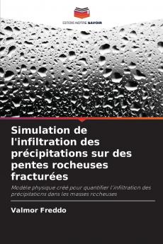 Simulation de l'infiltration des précipitations sur des pentes rocheuses fracturées