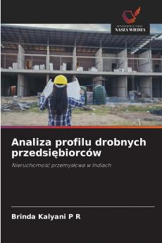 Analiza profilu drobnych przedsiębiorców