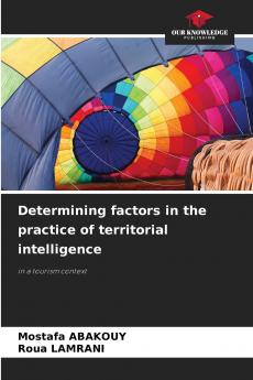 Determining factors in the practice of territorial intelligence
