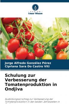 Schulung zur Verbesserung der Tomatenproduktion in Ondjiva