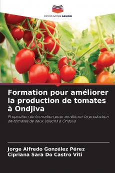 Formation pour améliorer la production de tomates à Ondjiva