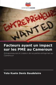 Facteurs ayant un impact sur les PME au Cameroun