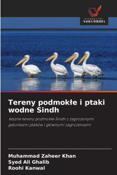 Tereny podmokłe i ptaki wodne Sindh
