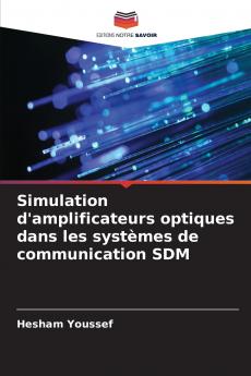 Simulation d'amplificateurs optiques dans les systèmes de communication SDM