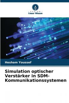 Simulation optischer Verstärker in SDM-Kommunikationssystemen