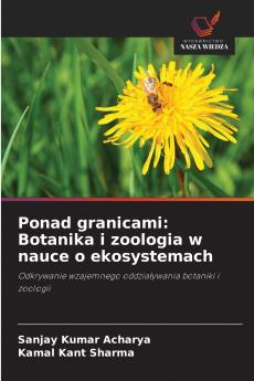Ponad granicami