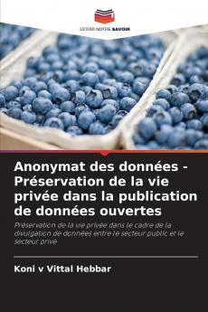 Anonymat des données - Préservation de la vie privée dans la publication de données ouvertes