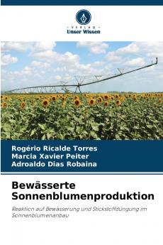 Bewässerte Sonnenblumenproduktion
