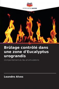 Brûlage contrôlé dans une zone d'Eucalyptus urograndis