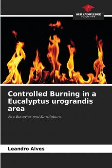 Controlled Burning in a Eucalyptus urograndis area