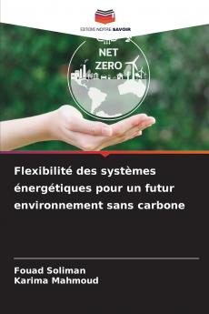 Flexibilité des systèmes énergétiques pour un futur environnement sans carbone