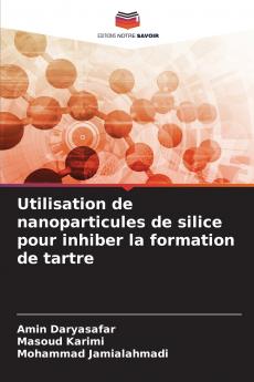 Utilisation de nanoparticules de silice pour inhiber la formation de tartre