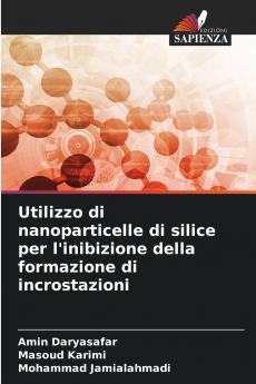 Utilizzo di nanoparticelle di silice per l'inibizione della formazione di incrostazioni