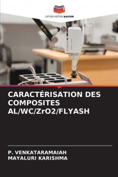 CARACTÉRISATION DES COMPOSITES AL/WC/ZrO2/FLYASH