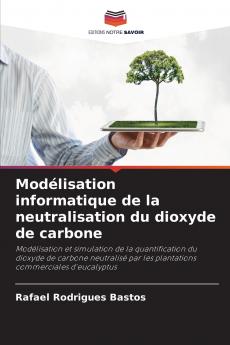 Modélisation informatique de la neutralisation du dioxyde de carbone
