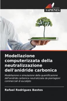 Modellazione computerizzata della neutralizzazione dell'anidride carbonica