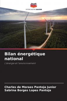 Bilan énergétique national