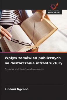 Wpływ zamówień publicznych na dostarczanie infrastruktury