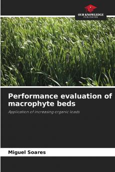 Performance evaluation of macrophyte beds