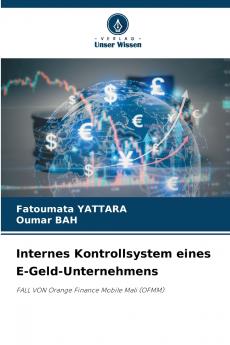 Internes Kontrollsystem eines E-Geld-Unternehmens