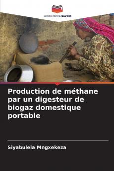 Production de méthane par un digesteur de biogaz domestique portable