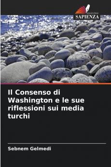 Il Consenso di Washington e le sue riflessioni sui media turchi