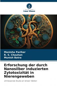 Erforschung der durch Nanosilber induzierten Zytotoxizität in Nierengeweben