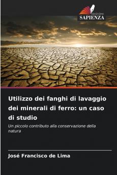 Utilizzo dei fanghi di lavaggio dei minerali di ferro