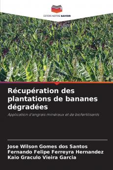 Récupération des plantations de bananes dégradées