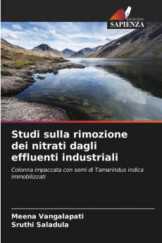 Studi sulla rimozione dei nitrati dagli effluenti industriali