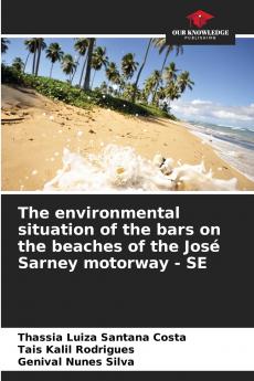 The environmental situation of the bars on the beaches of the José Sarney motorway - SE