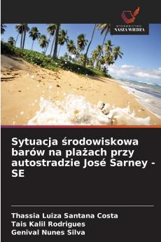 Sytuacja środowiskowa barów na plażach przy autostradzie José Sarney - SE