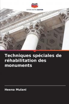 Techniques spéciales de réhabilitation des monuments