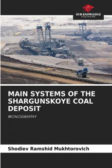 MAIN SYSTEMS OF THE SHARGUNSKOYE COAL DEPOSIT