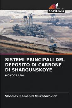 SISTEMI PRINCIPALI DEL DEPOSITO DI CARBONE DI SHARGUNSKOYE