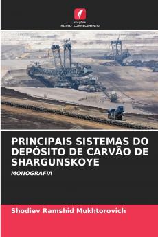 PRINCIPAIS SISTEMAS DO DEPÓSITO DE CARVÃO DE SHARGUNSKOYE