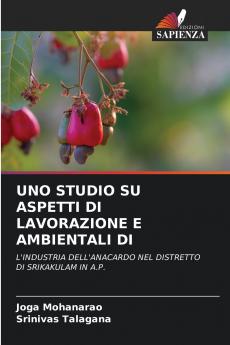 UNO STUDIO SU ASPETTI DI LAVORAZIONE E AMBIENTALI DI