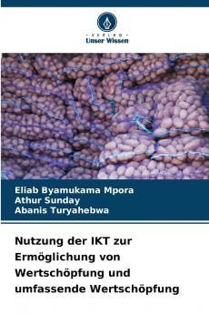 Nutzung der IKT zur Ermöglichung von Wertschöpfung und umfassende Wertschöpfung