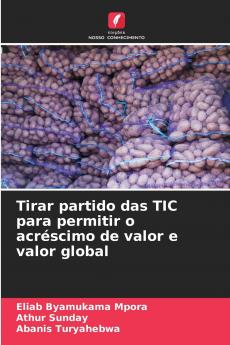 Tirar partido das TIC para permitir o acréscimo de valor e valor global