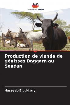 Production de viande de génisses Baggara au Soudan