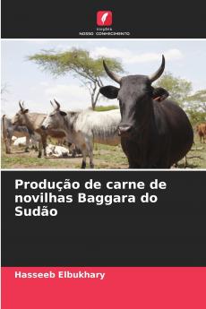 Produção de carne de novilhas Baggara do Sudão