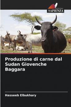 Produzione di carne dal Sudan Giovenche Baggara