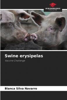 Swine erysipelas