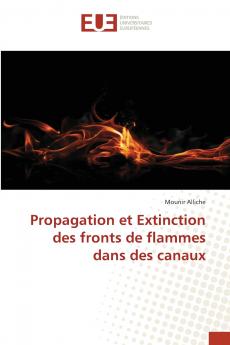 Propagation et Extinction des fronts de flammes dans des canaux