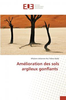 Amélioration des sols argileux gonflants