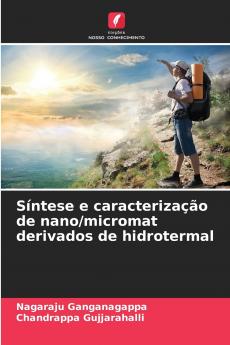 Síntese e caracterização de nano/micromat derivados de hidrotermal